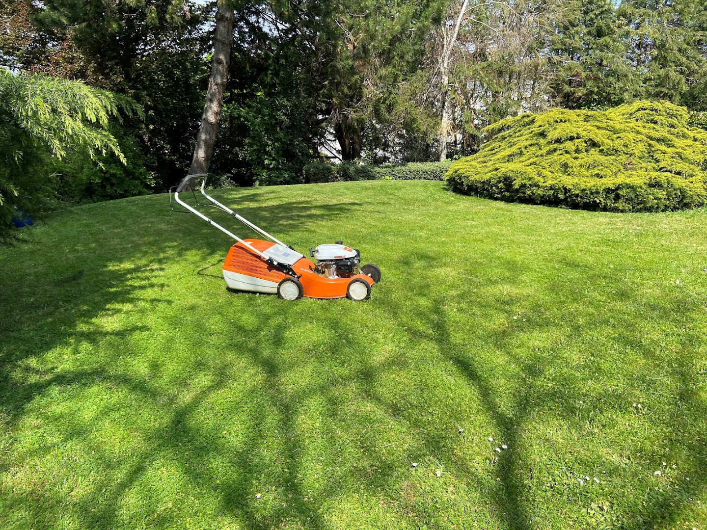 Les Meilleurs Jardiniers Champigny Sur Marne Pour Entretenir Votre Jardin