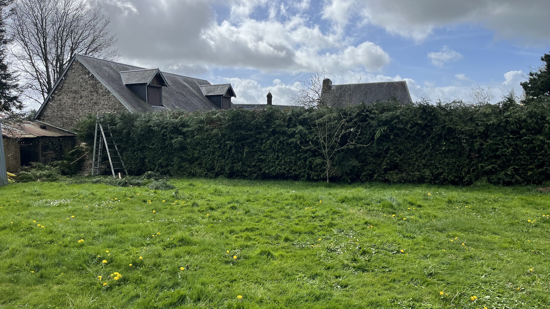 Les meilleurs jardiniers à Flers pour entretenir votre jardin