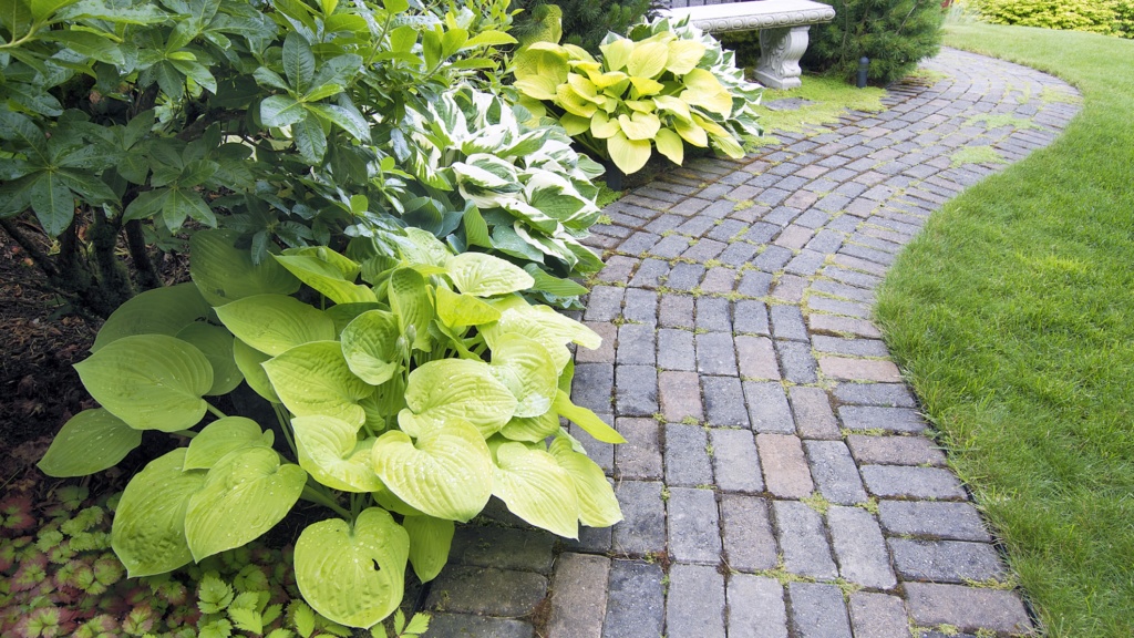 Choisir Le Meilleur Jardinier Ou Paysagiste Saint Maximin La Sainte