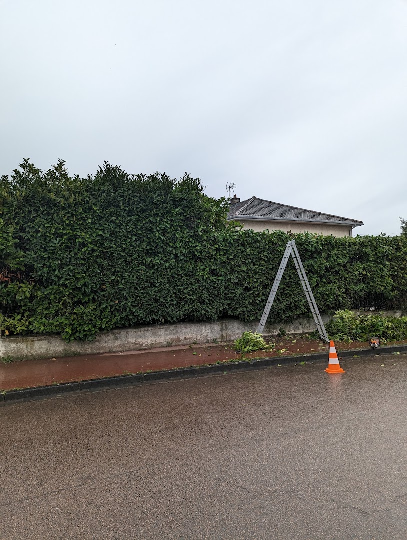 Les meilleurs jardiniers à Chalon sur Saône pour entretenir votre jardin