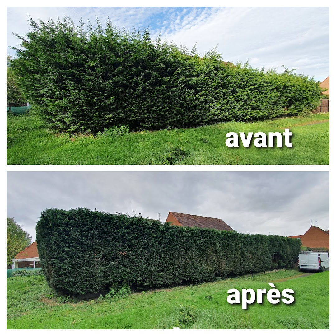 Entretien de jardin à Mouvaux : Trouver un jardinier ou un paysagiste